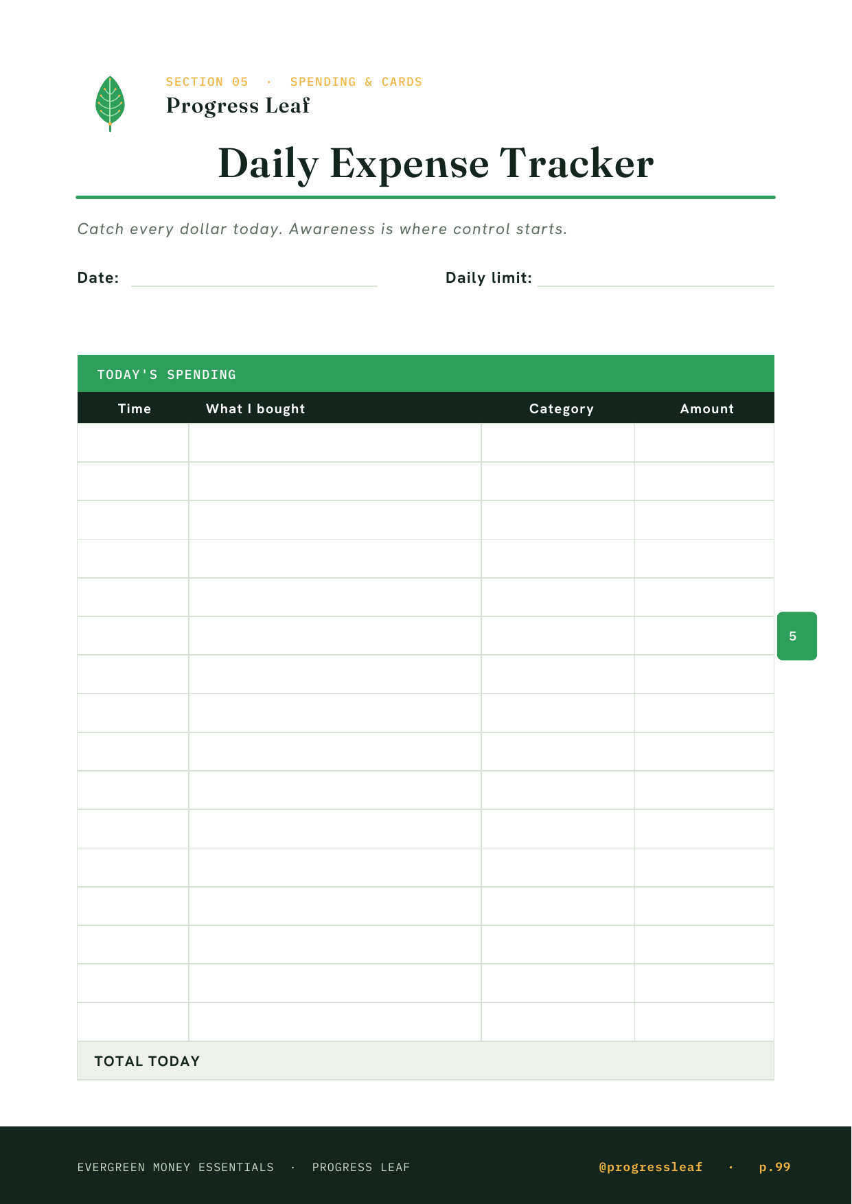 Daily Expense Tracker page